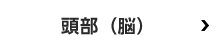 頭部(脳)
