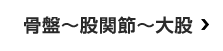 骨盤〜股関節〜大股